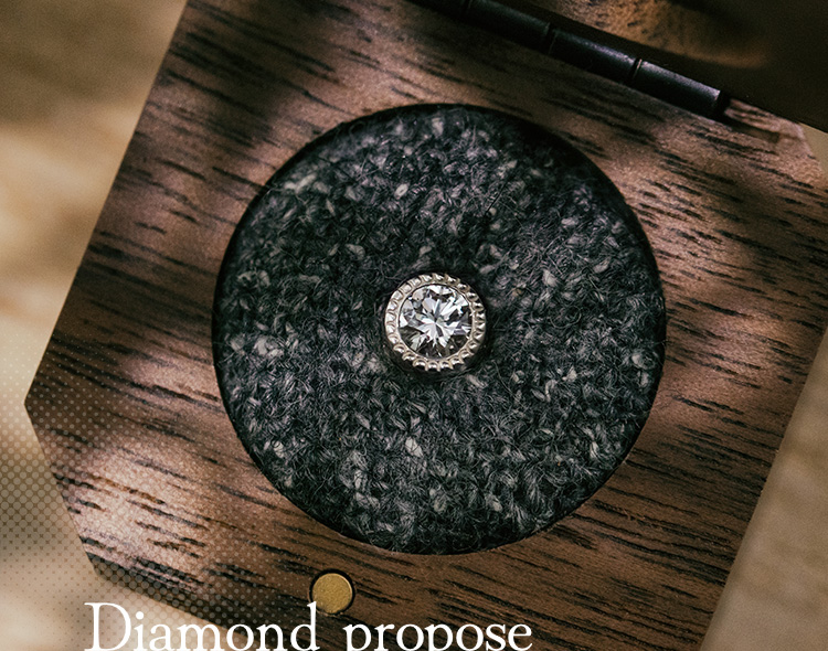 ダイヤモンドプロポーズコース | 手作り結婚指輪・婚約指輪の鎌倉彫金工房